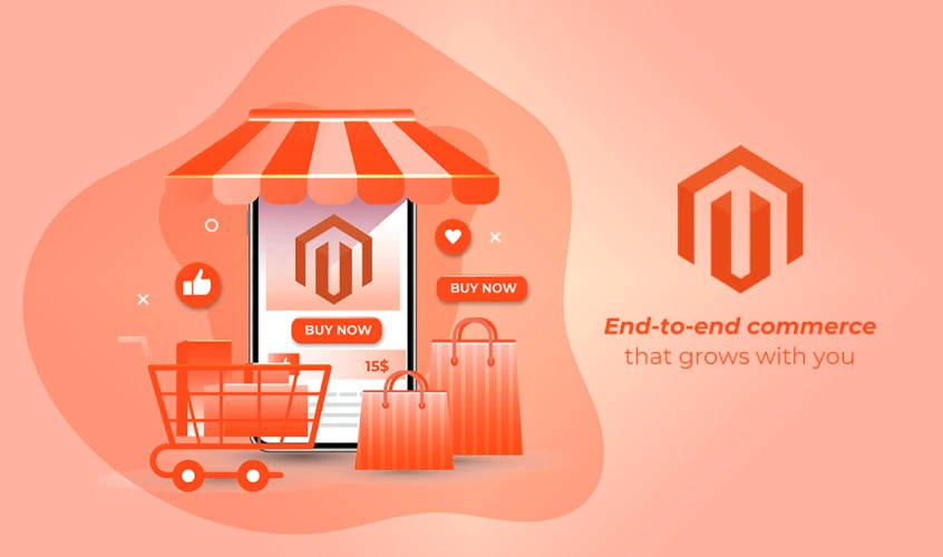 Magento Platinum partners
